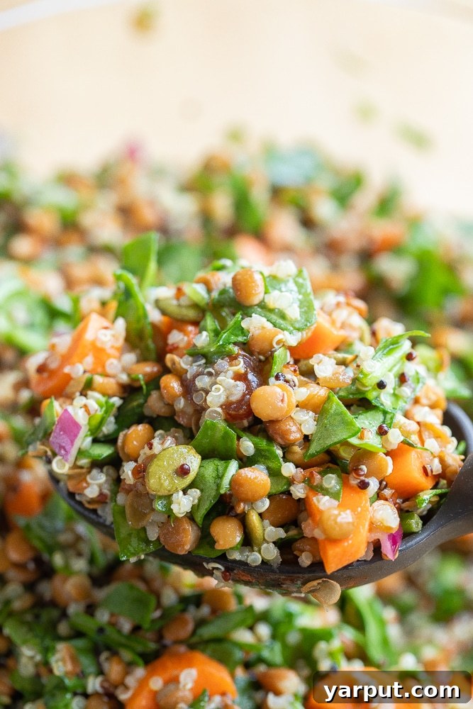 Energizing Spinach Lentil Power Salad 5 Large spoonful of lentil quinoa spinach salad