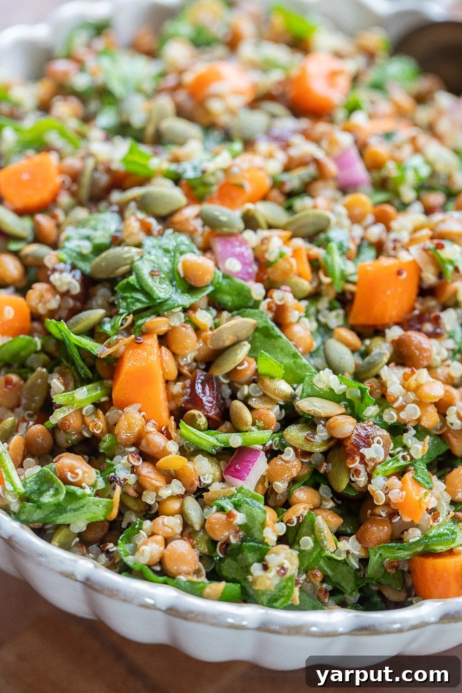 Energizing Spinach Lentil Power Salad 6 Large bowl of iron rich spinach lentil salad with quinoa and carrots