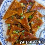 Easy Teriyaki Tofu Recipe