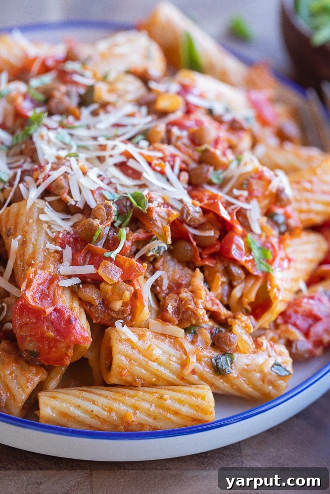 close up of a plate of tomato lentil pasta.