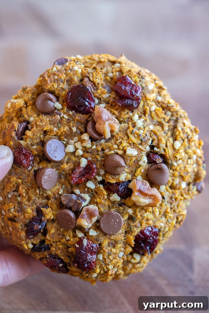Energizing Pumpkin Cranberry Orange Protein Cookies 2 Close up of a pumpkin orange cranberry breakfast cookie being held in a hand, showcasing its texture and ingredients.