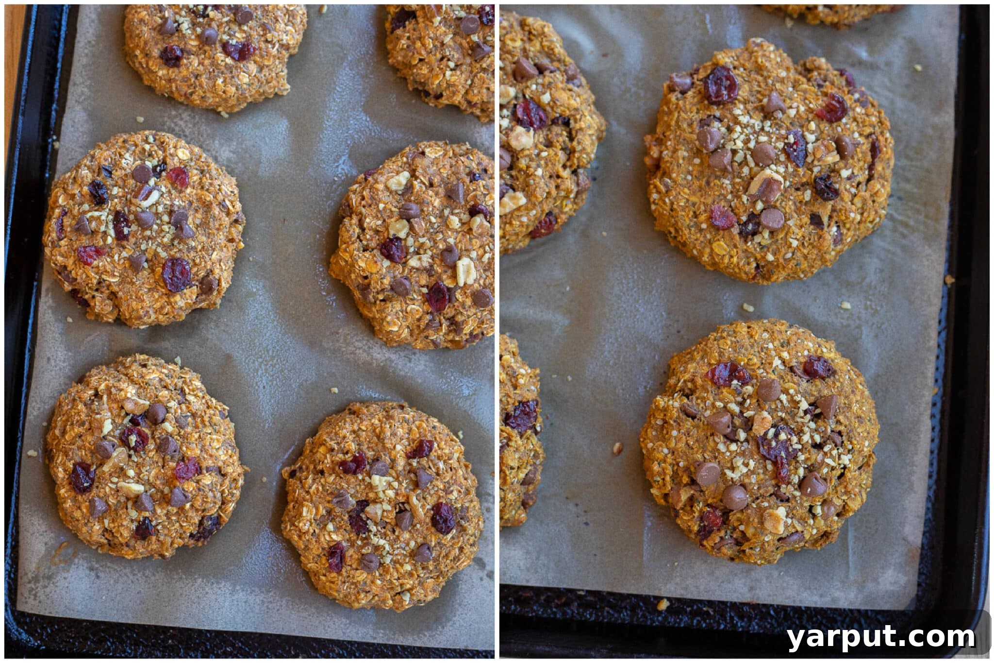Energizing Pumpkin Cranberry Orange Protein Cookies 5 Pumpkin Orange Cranberry Breakfast Cookies arranged on a cooling rack, showing their golden brown color and chunky texture.