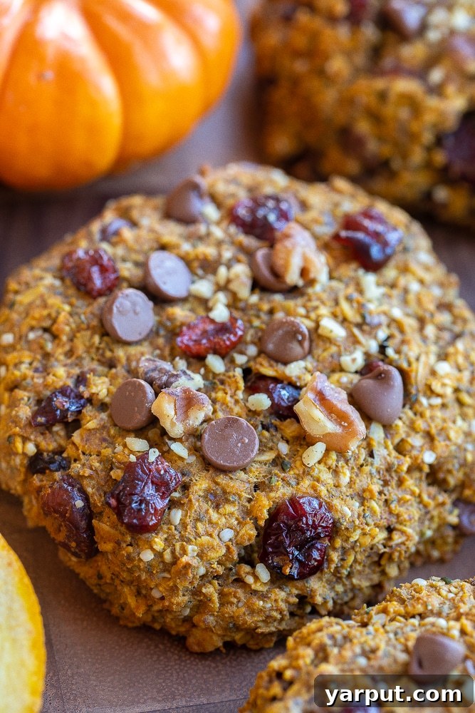Energizing Pumpkin Cranberry Orange Protein Cookies 6 A close-up view of a high-protein chocolate chip pumpkin breakfast cookie, showing the melted chocolate and a soft interior.