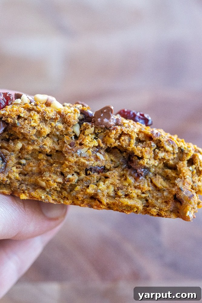 Energizing Pumpkin Cranberry Orange Protein Cookies 7 A close-up image showing the soft, textured interior of a pumpkin oat breakfast cookie, revealing the embedded cranberries, nuts, and chocolate chips.