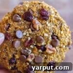 High-Protein Pumpkin Breakfast Cookies with chocolate chips