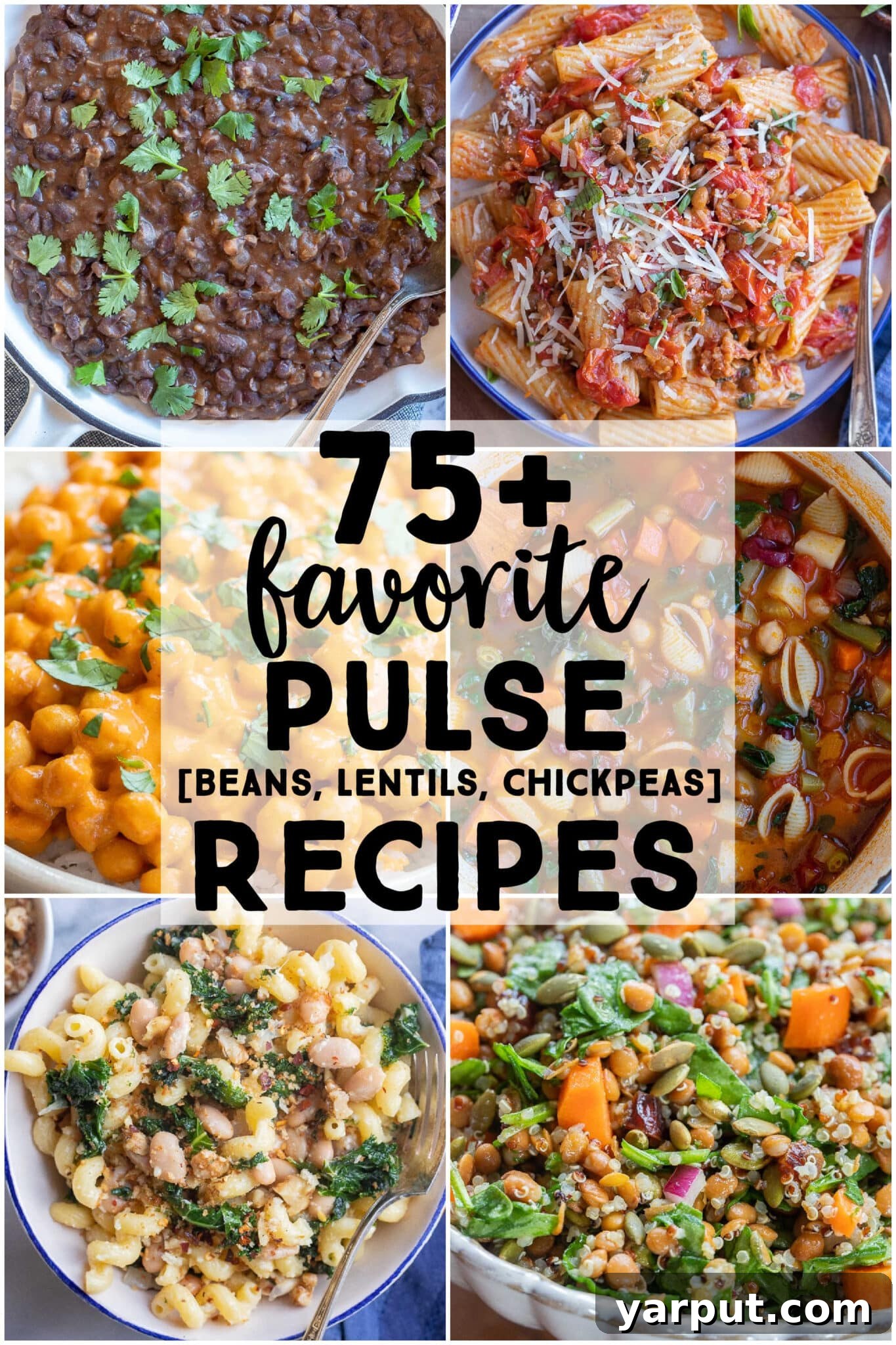 A World of Lentil Chickpea and Bean Delights 2 A vibrant and diverse selection of cooked pulse dishes, showcasing various beans, lentils, and chickpeas in different preparations.
