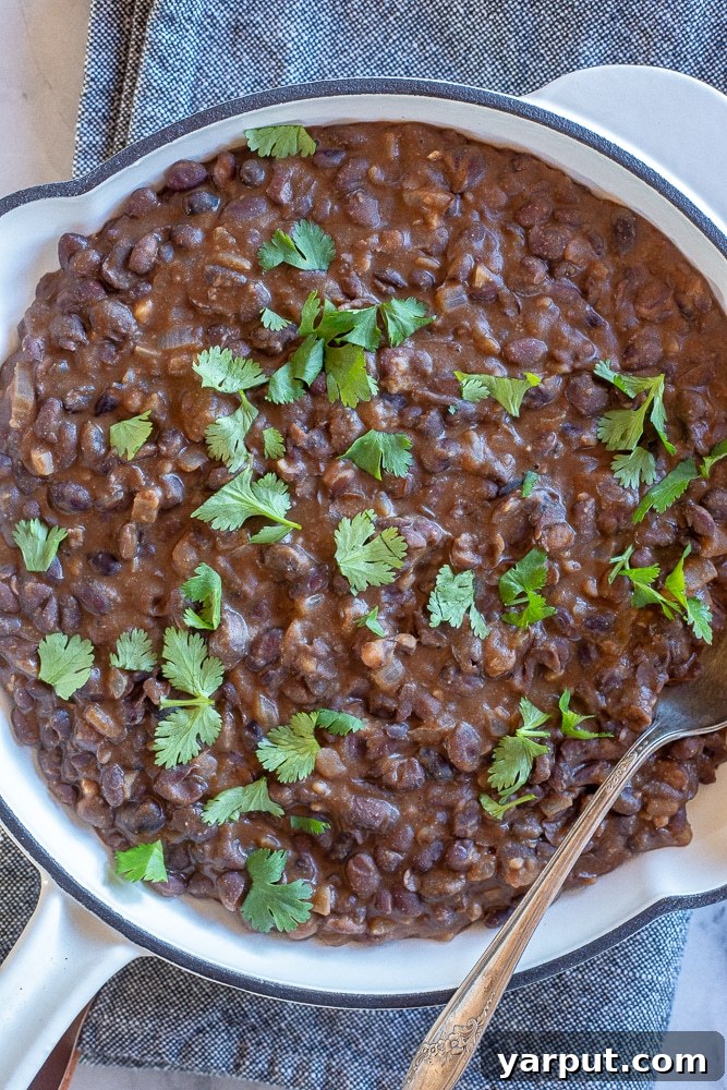 A World of Lentil Chickpea and Bean Delights 3 Close-up of a bowl of easy Mexican black beans, garnished with fresh cilantro and a lime wedge.