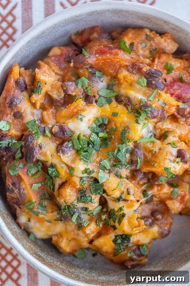 A World of Lentil Chickpea and Bean Delights 4 A high-protein tofu and black bean enchilada skillet, bubbly with melted cheese and fresh herbs.