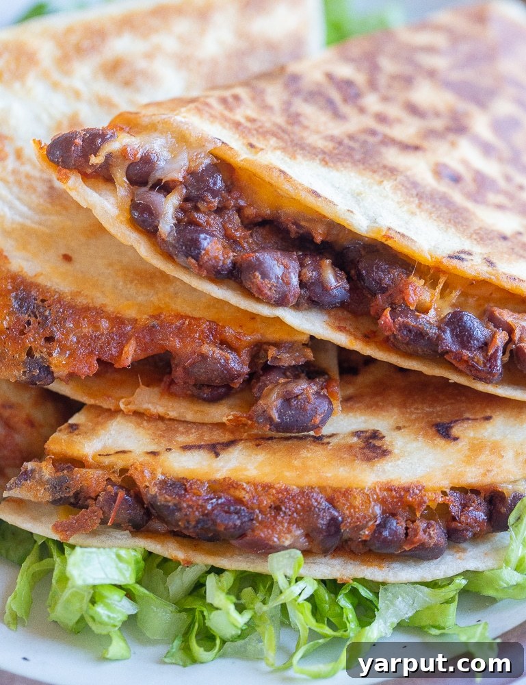 A World of Lentil Chickpea and Bean Delights 5 Crispy BBQ black bean quesadillas, cut into triangles and served with a side of salsa or guacamole.