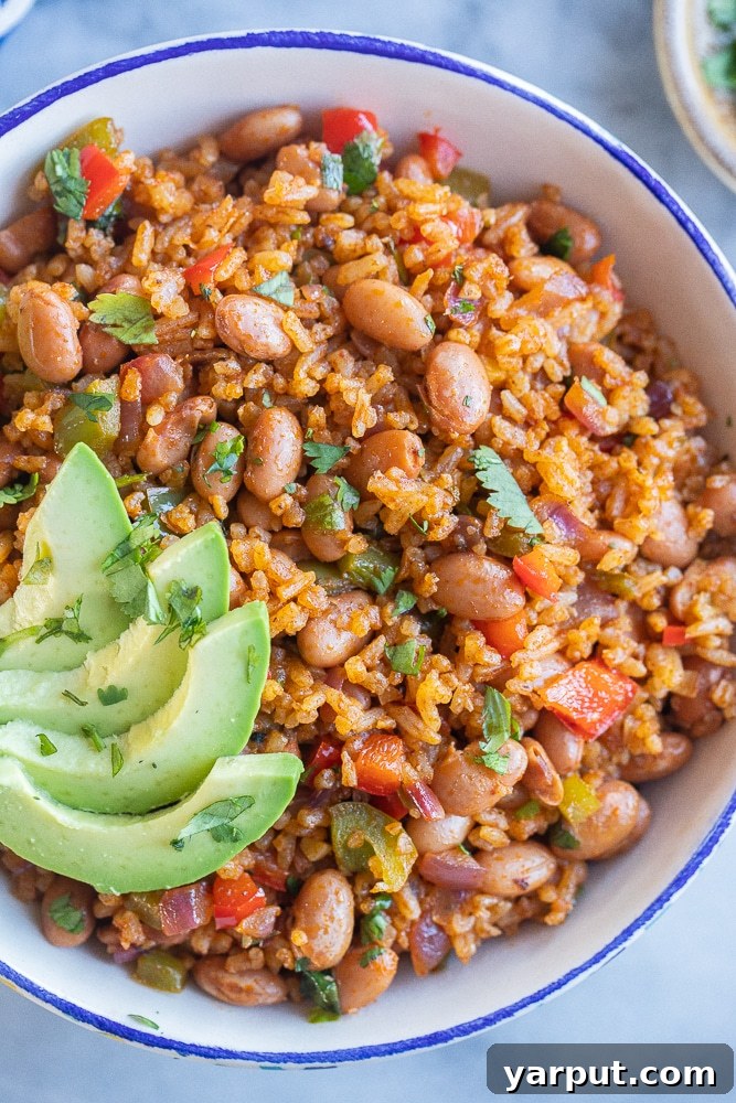 A World of Lentil Chickpea and Bean Delights 45 A quick and easy rice and bean stir-fry, a wholesome meal perfect for weeknights.