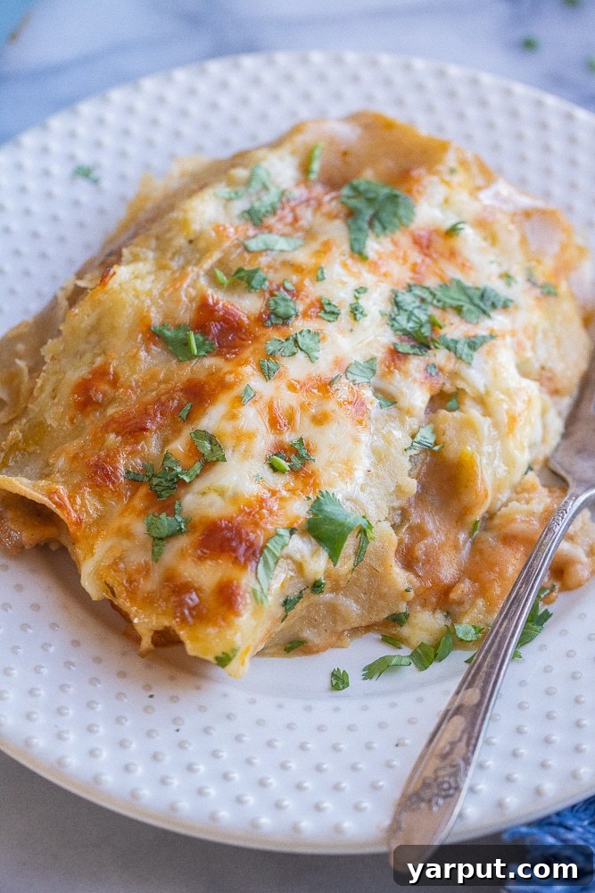 A World of Lentil Chickpea and Bean Delights 46 Warm and comforting cheesy green chile and potato enchiladas, baked to golden perfection.