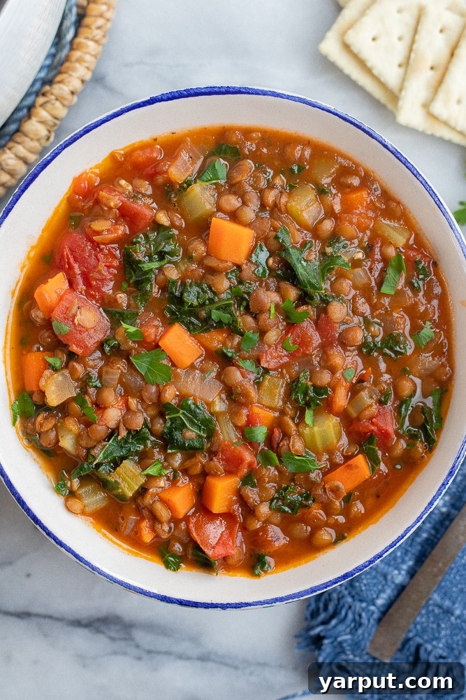 A World of Lentil Chickpea and Bean Delights 76 A steaming bowl of quick and easy vegetarian lentil soup, perfect for a comforting meal.
