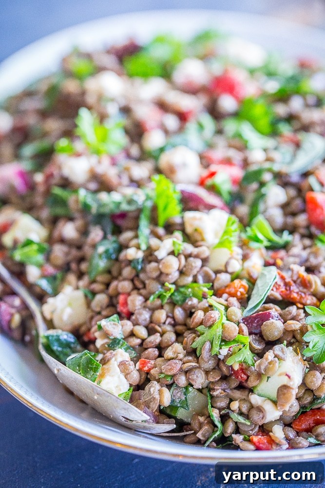 A World of Lentil Chickpea and Bean Delights 81 A fresh and vibrant Mediterranean lentil salad, with colorful vegetables and herbs.