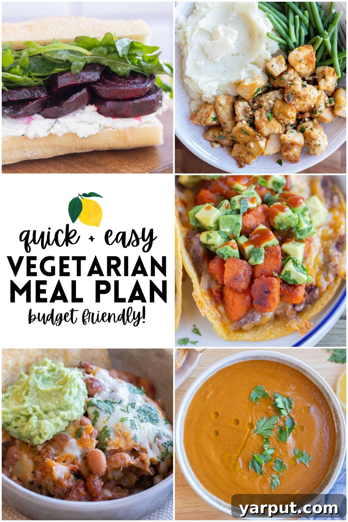 A vibrant spread of prepared vegetarian dishes, showcasing a colorful and healthy meal plan.