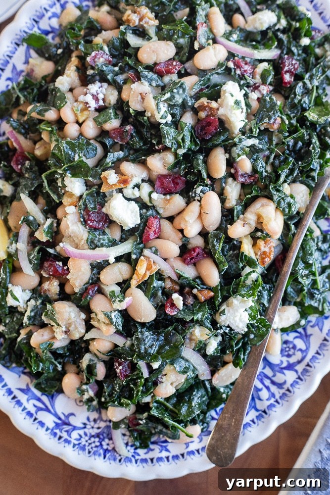 Quick Wholesome Kale and White Bean Salad 2 A vibrant Kale and White Bean Salad in a large serving bowl, featuring green kale, white beans, red onion, dried cranberries, goat cheese, and toasted walnuts.
