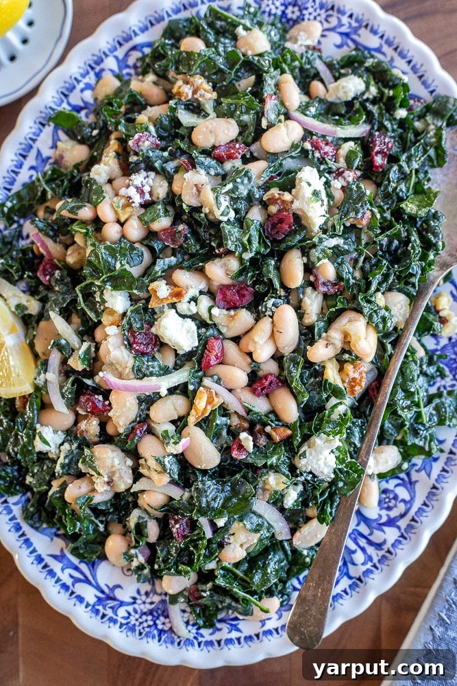 Quick Wholesome Kale and White Bean Salad 6 A bowl of freshly prepared Easy Kale and White Bean Salad, ready to be served.
