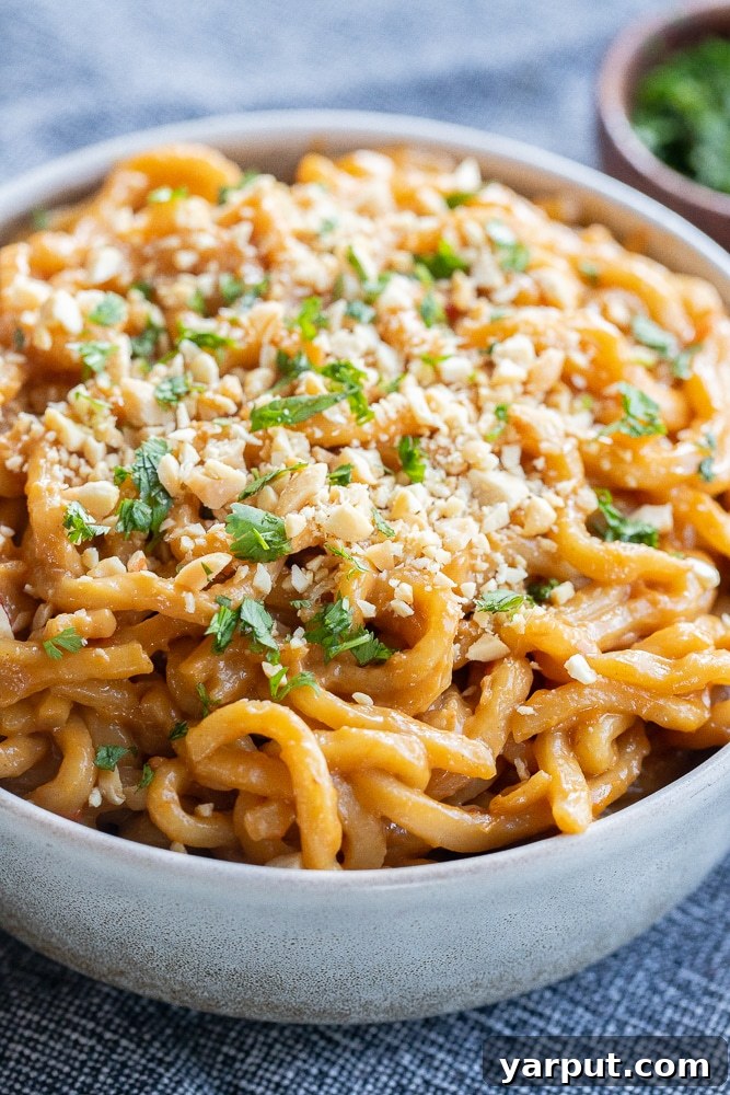 Delicious 20-Minute Peanut Noodles with cilantro and chopped peanuts