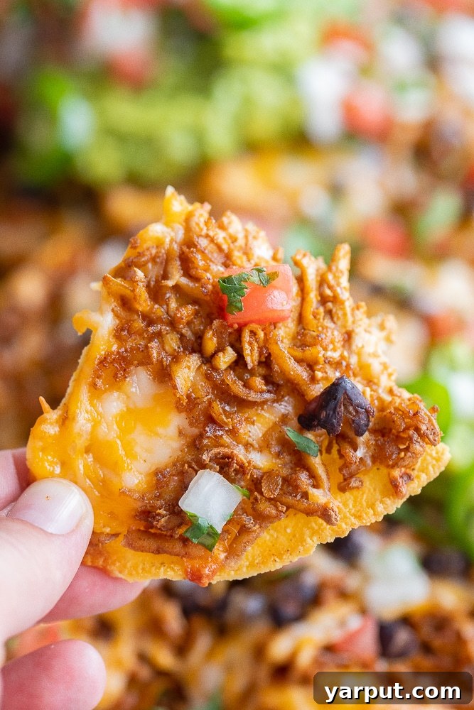 Loaded Vegetarian Shredded Tofu Nachos with salsa and avocado