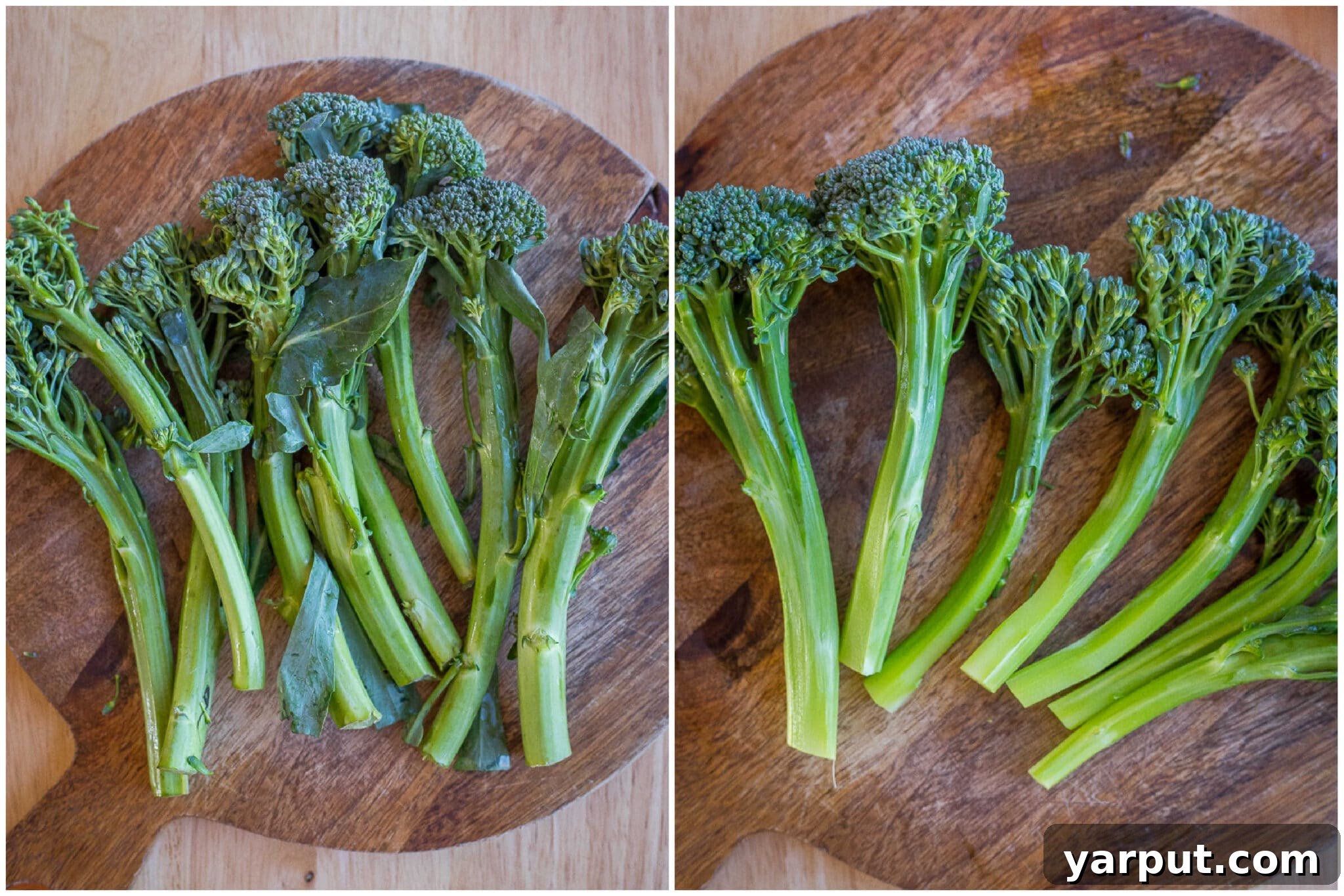 Zesty Lemon Tahini Roasted Broccolini 3 Broccolini stalks meticulously cleaned, showing the before and after of peeling the fibrous outer layer from the stems for enhanced tenderness.