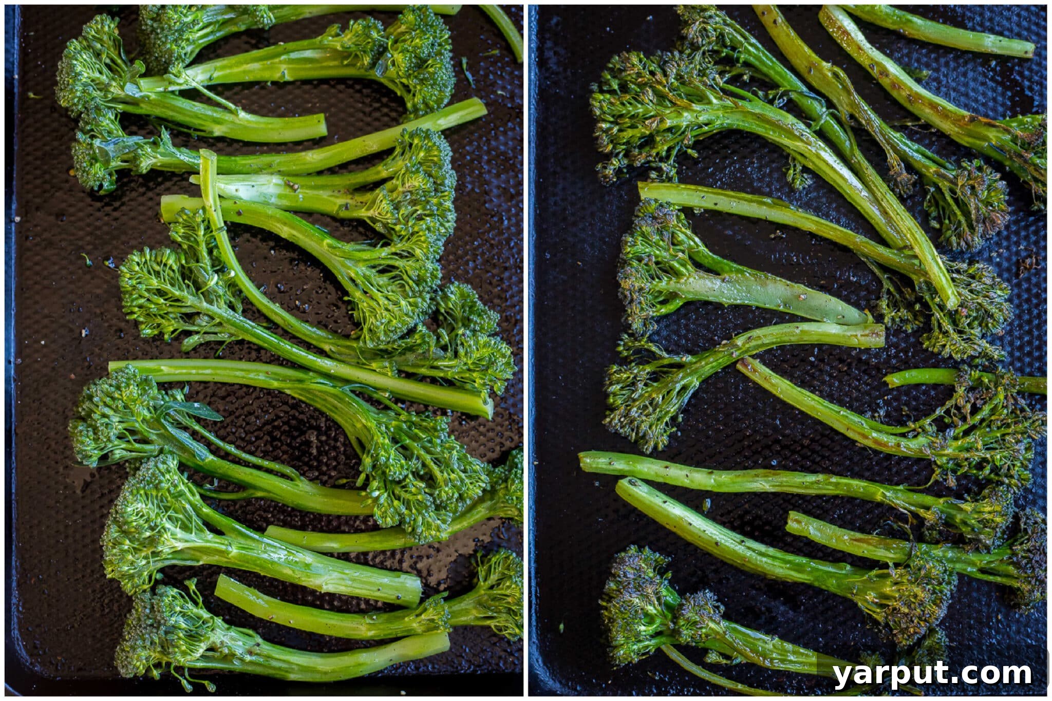 Zesty Lemon Tahini Roasted Broccolini 4 A sheet pan showcasing broccolini before roasting, lightly coated in oil and seasoning, and another section with the same broccolini after roasting, beautifully caramelized and tender-crisp.