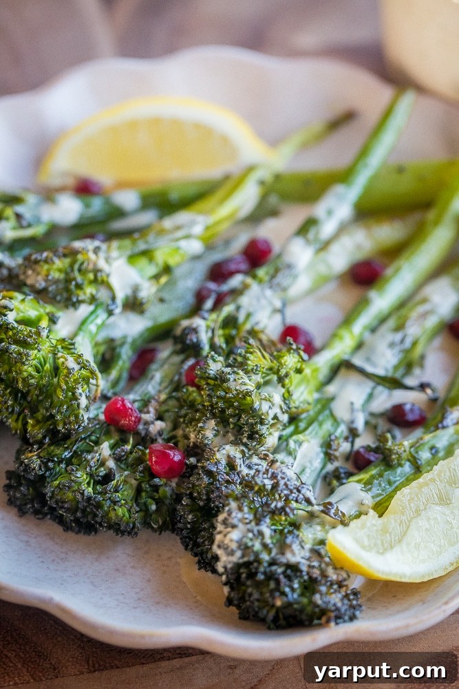 Zesty Lemon Tahini Roasted Broccolini 7 A close-up shot of individual roasted broccolini stalks on a clean white plate, highlighting their crisp florets and tender stems, ready to be enjoyed.