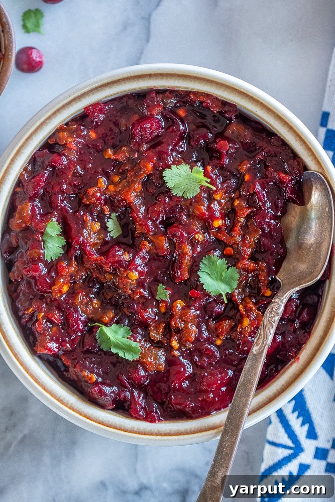40+ Festive Vegetarian Side Dishes 6 A vibrant bowl of Maple Chipotle Cranberry Sauce, showcasing its rich red color and inviting texture.