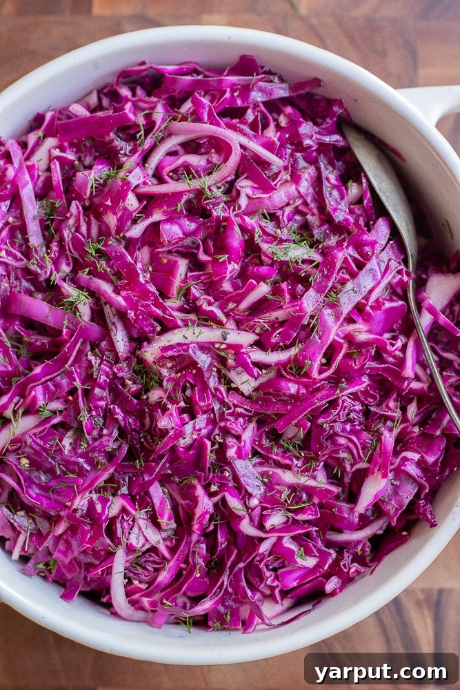 40+ Festive Vegetarian Side Dishes 9 A vibrant purple cabbage salad, showcasing its rich color and fresh ingredients.