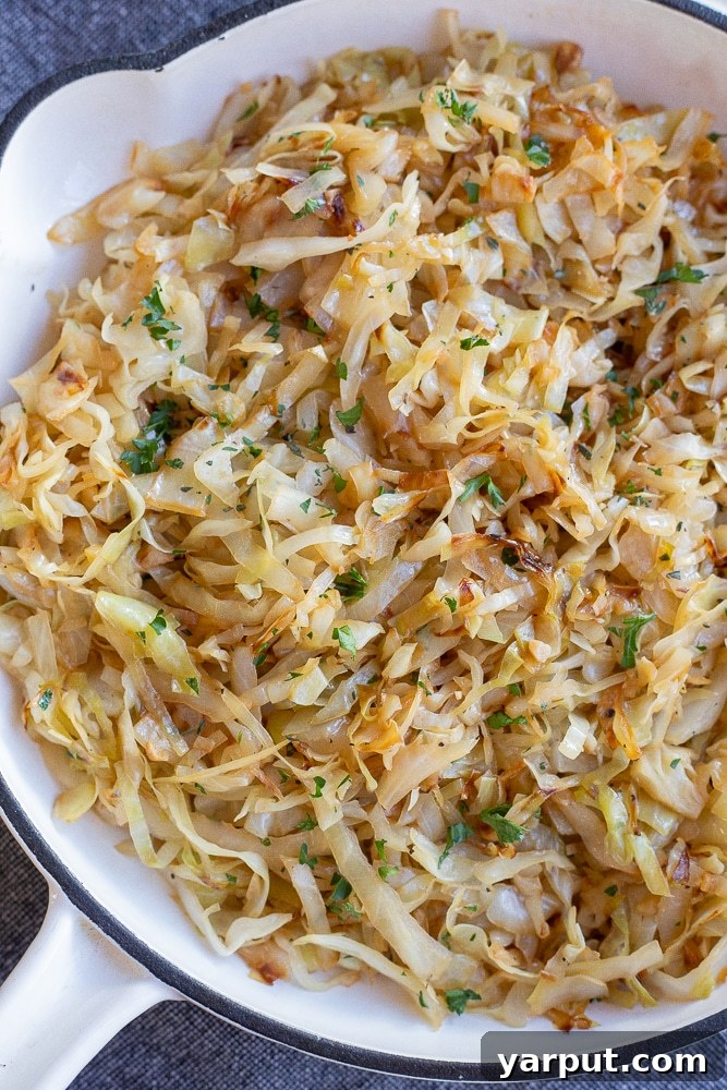 40+ Festive Vegetarian Side Dishes 10 A plate of easy sautéed cabbage, beautifully caramelized and ready to be served.