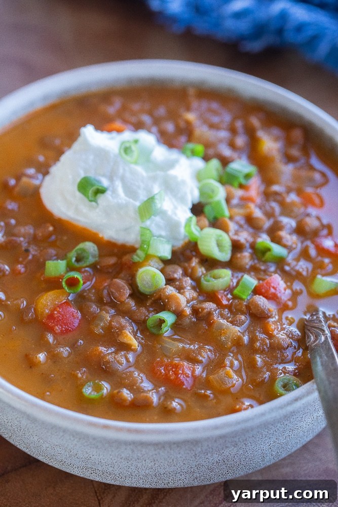 Week 17: Simple Plant-Based Meal Ideas 3 A steaming bowl of hearty vegetarian lentil chili, garnished with fresh cilantro and served with a side of crackers.
