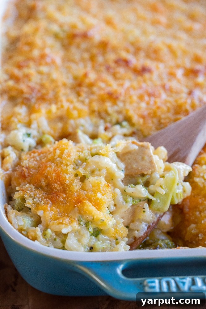 Your 2026 Vegetarian Kickoff: Week 1 Meal Plan 7 Cheesy Broccoli Rice Casserole with Tofu