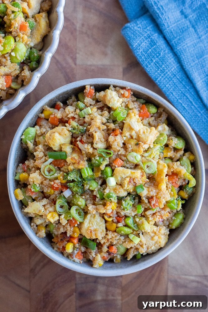 dinner bowl full of loaded vegetarian fried rice topped with fresh green onion