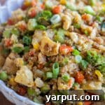 Loaded Vegetarian Fried Rice