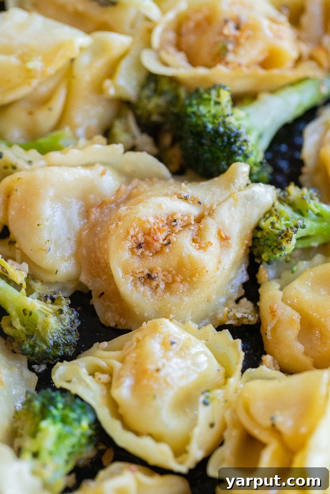 Zesty Roasted Lemon Parmesan Tortellini with Broccoli 7 A close-up view of a single roasted garlic Parmesan tortellini with a perfectly cooked broccoli floret, highlighting the texture and sauce coating.
