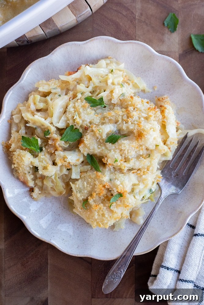 Golden Cheesy Cabbage Bake 7 A full plate of cheesy cabbage gratin, ready to be enjoyed, garnished with fresh herbs.