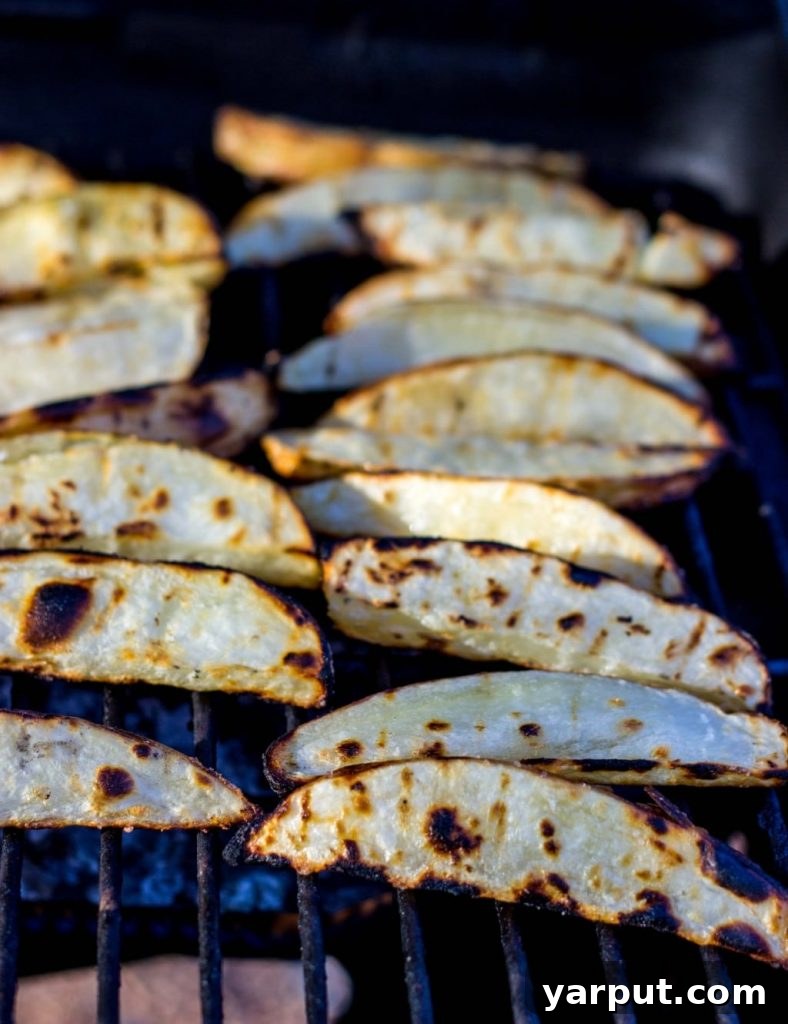 Zesty Salt and Vinegar Char-Grilled Potato Wedges 6 Close-up of a curious cat inspecting the grill knob while potatoes are cooking.