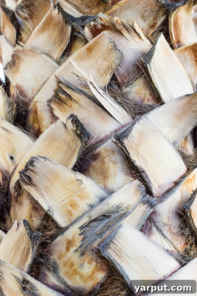 Zesty Salt and Vinegar Char-Grilled Potato Wedges 9 Lush palm tree fronds swaying gently in the breeze.