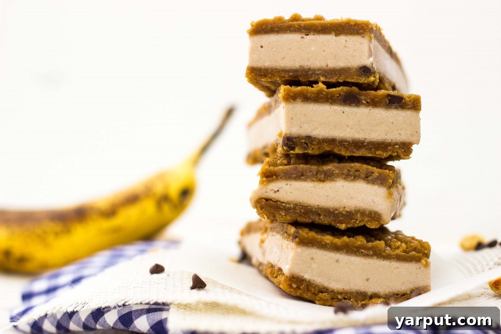 Irresistible Peanut Butter Banana Ice Cream Sandwiches Gluten Free Vegan 9 Two peanut butter banana ice cream sandwiches on a plate