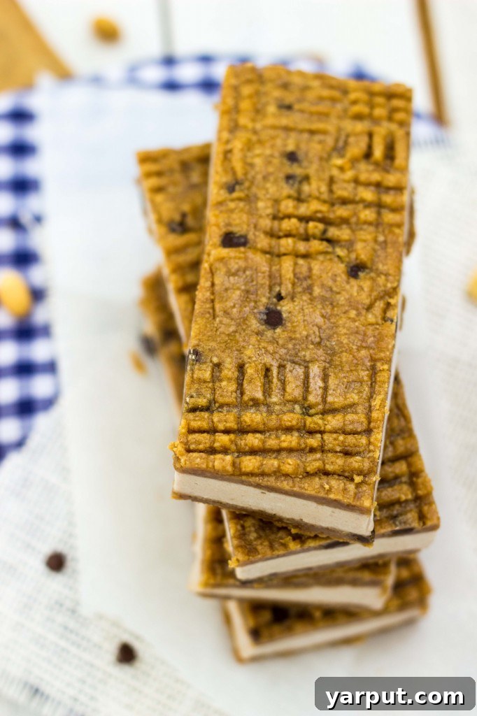 Irresistible Peanut Butter Banana Ice Cream Sandwiches Gluten Free Vegan 10 Peanut Butter and Banana Ice Cream Sandwiches artfully arranged