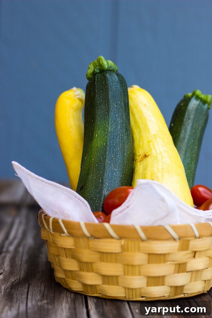 Calabacitas Orzo Salad with Zesty Cilantro Lime Dressing 6 Freshly cooked squash and zucchini for a delicious Calabacitas Orzo Salad
