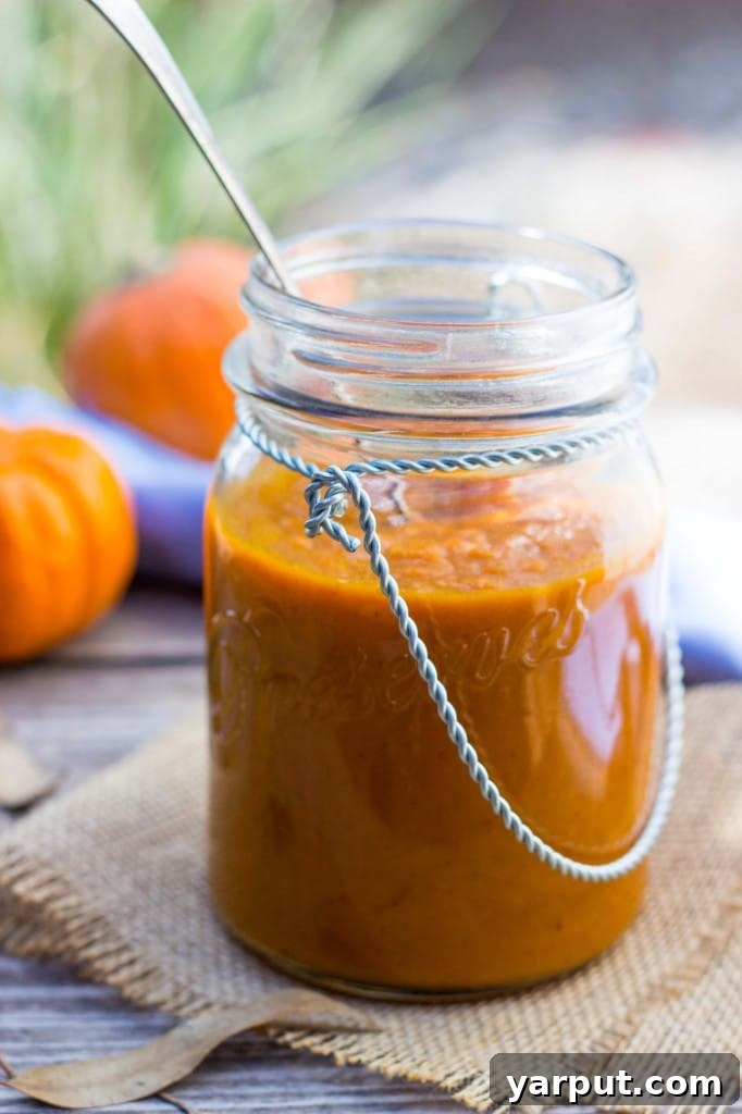 Autumn Spiced Enchilada Sauce 2 Delicious Pumpkin Enchilada Sauce