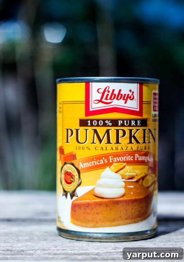 Autumn Spiced Enchilada Sauce 3 Rich and Creamy Pumpkin Puree for Enchilada Sauce