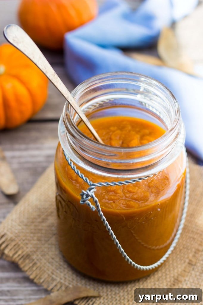 Autumn Spiced Enchilada Sauce 6 Serving Pumpkin Enchilada Sauce with tortilla chips