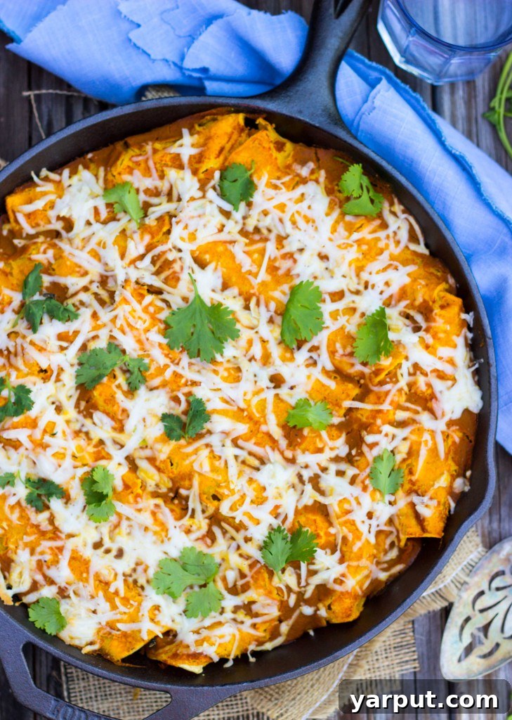 Delicious Veggie Enchiladas with Homemade Pumpkin Enchilada Sauce