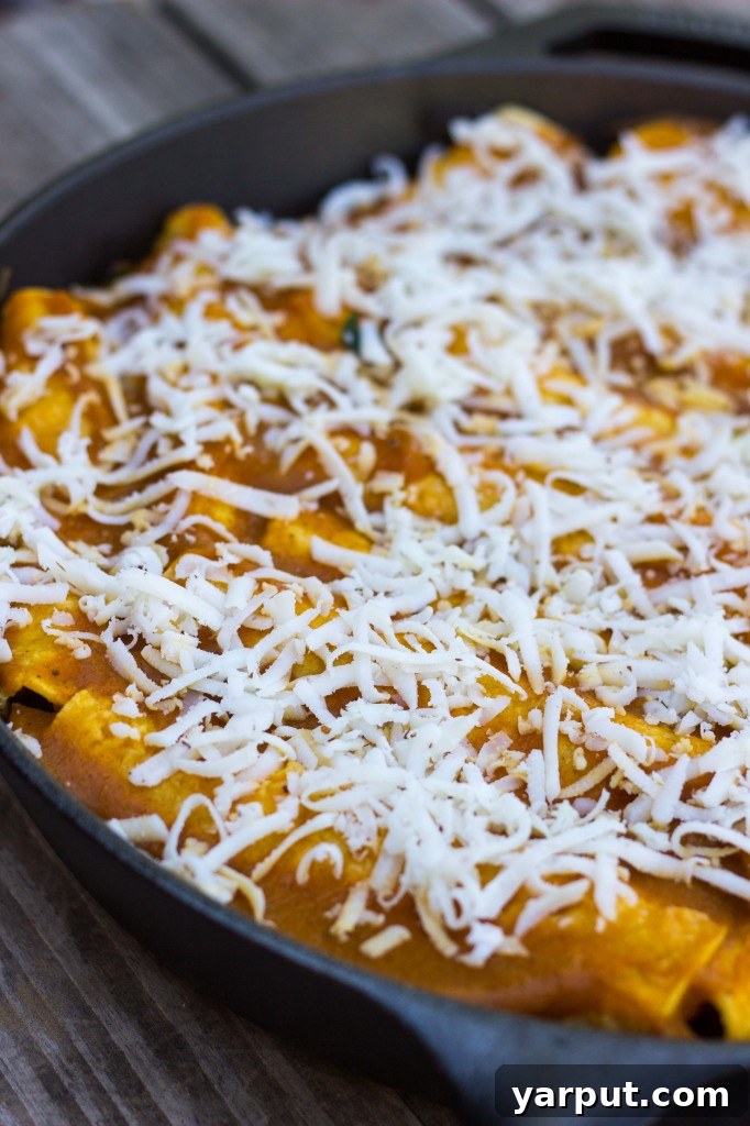 Close-up of Veggie Enchiladas with Pumpkin Enchilada Sauce