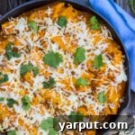 Thumbnail of Veggie Enchiladas with Pumpkin Enchilada Sauce