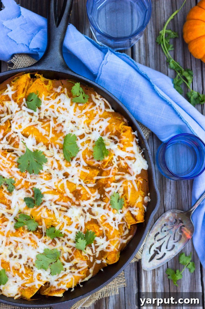 Delicious and Healthy Vegan Gluten-Free Enchiladas