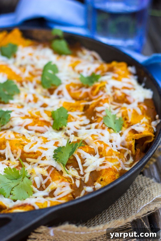 Hearty Veggie Enchiladas with Pumpkin Sauce
