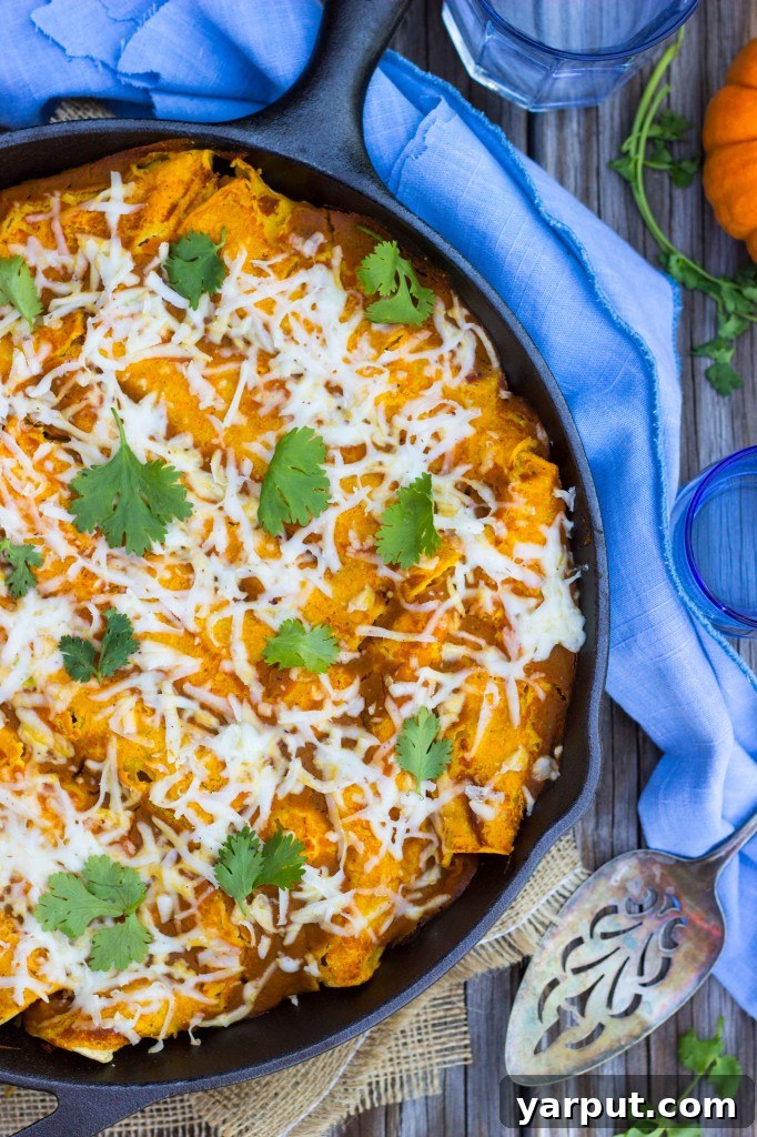 Enchiladas for a Healthy and Flavorful Meal