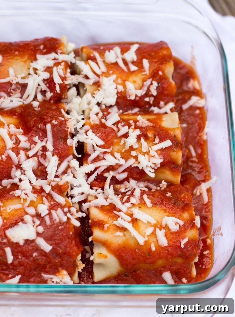 My Solo Week of Veggie Lasagna Rolls 6 Vegetable Lasagna Roll-Ups - Fresh Ingredients