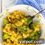 Butternut Squash Mac-N-“Cheese”